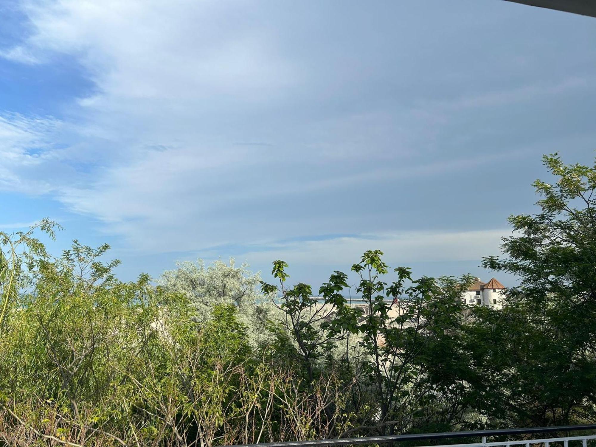 Avenue Palm On The Beach - Avenue Hotels 艾福雷诺德 外观 照片